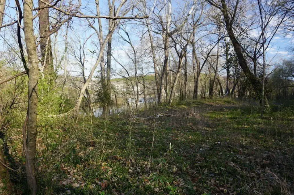 Picture 11