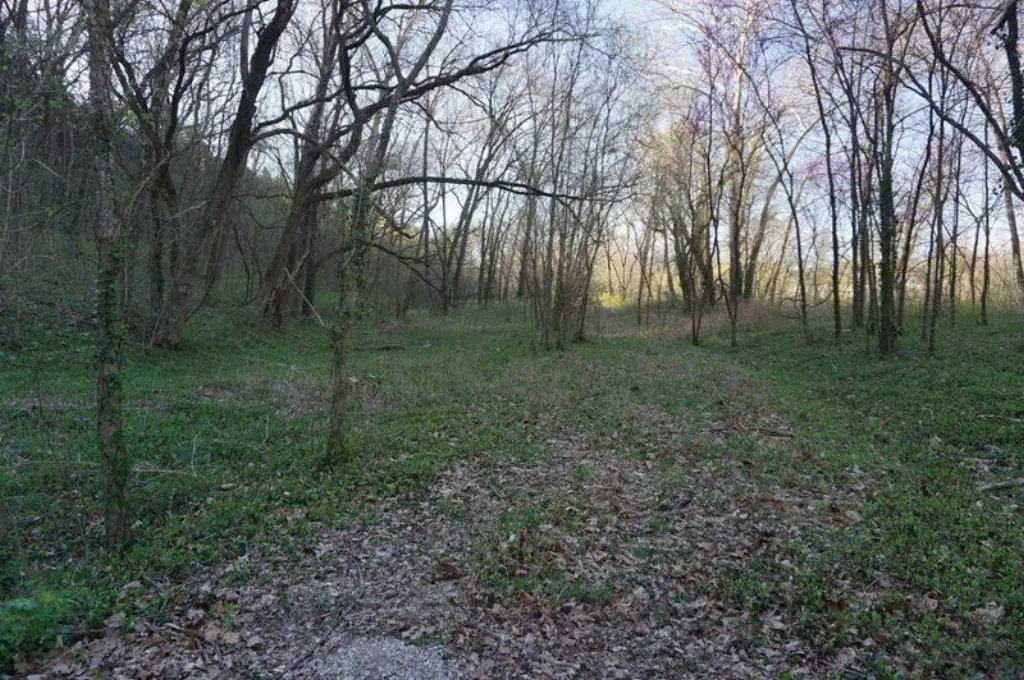 Picture 4