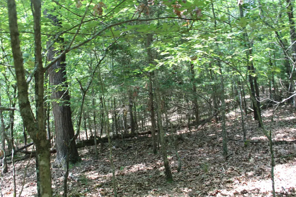 Picture 3