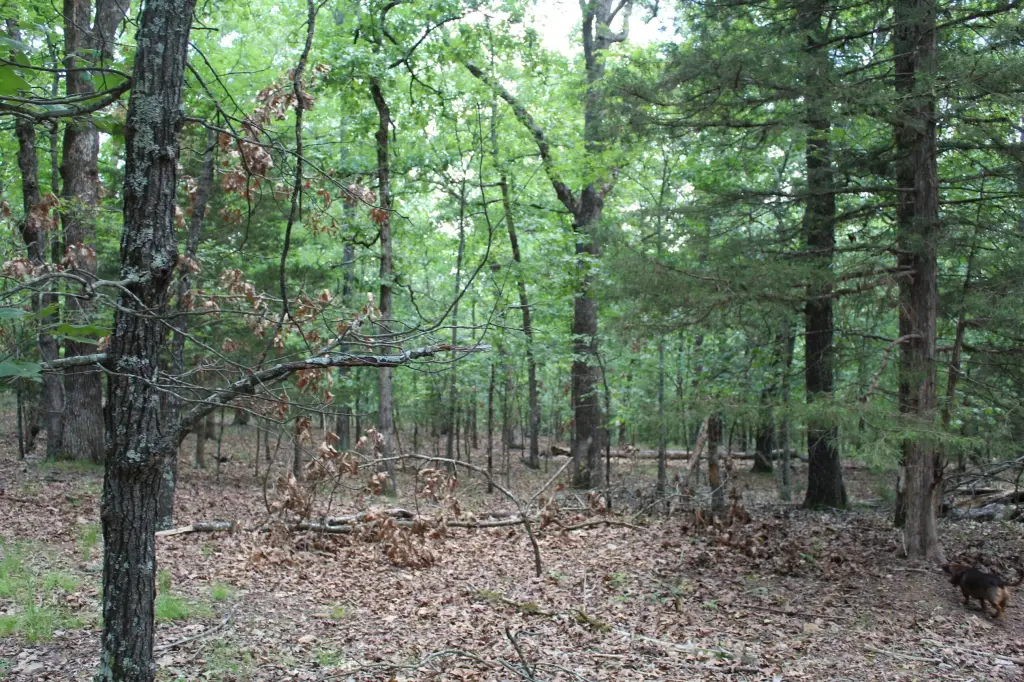 Picture 6