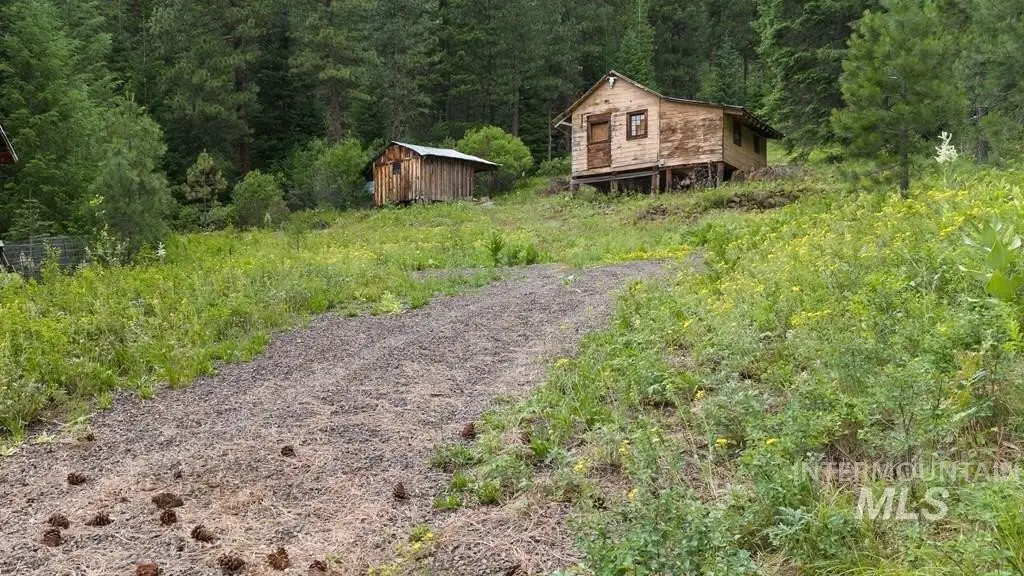 Picture 7