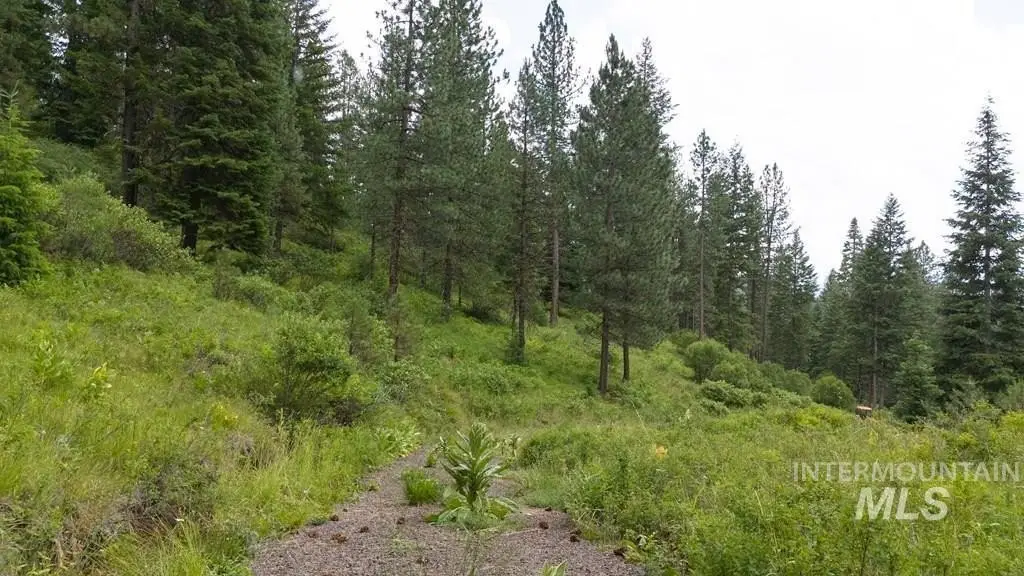 Picture 10