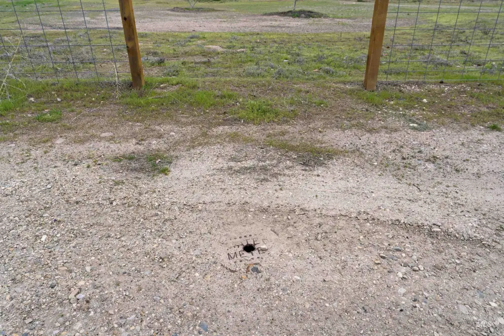 Picture 11