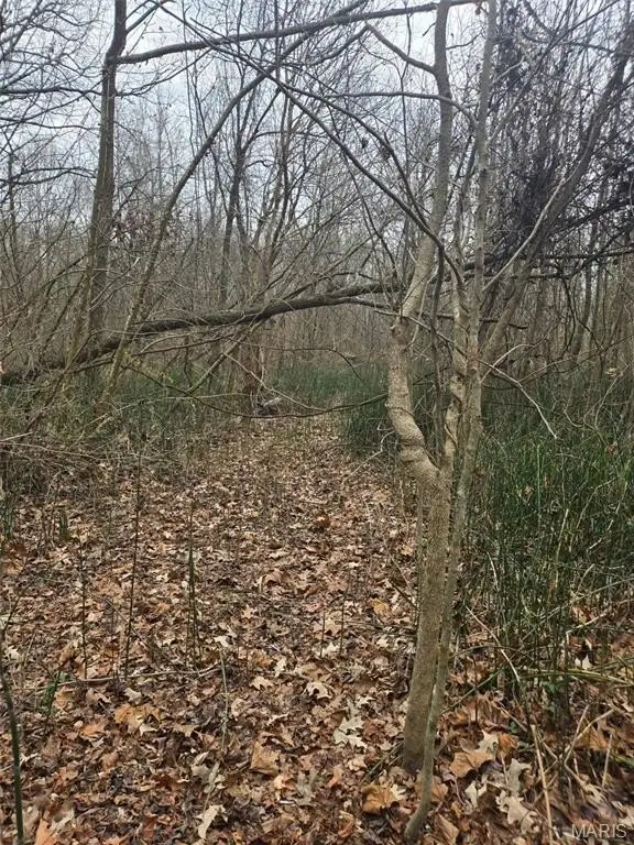 Picture 7