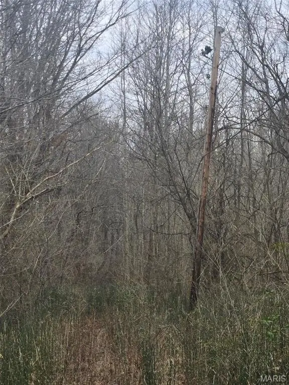 Picture 3