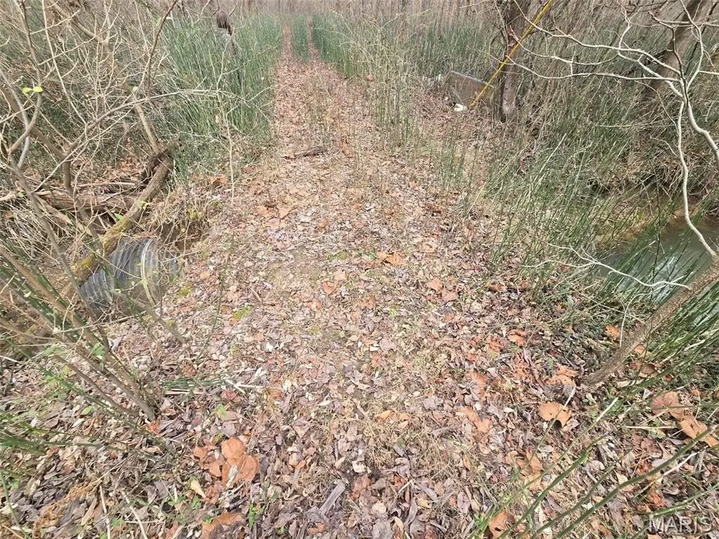 Picture 4