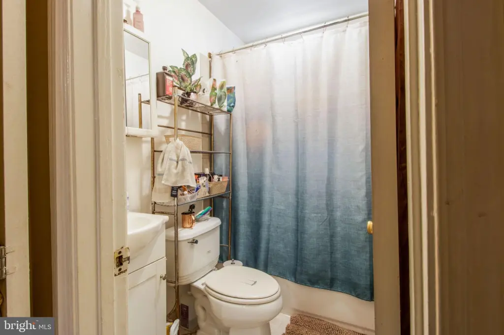 Picture 8