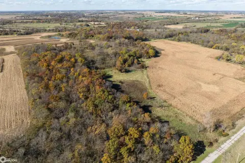 Timber-Heavy Hunting Land Tract