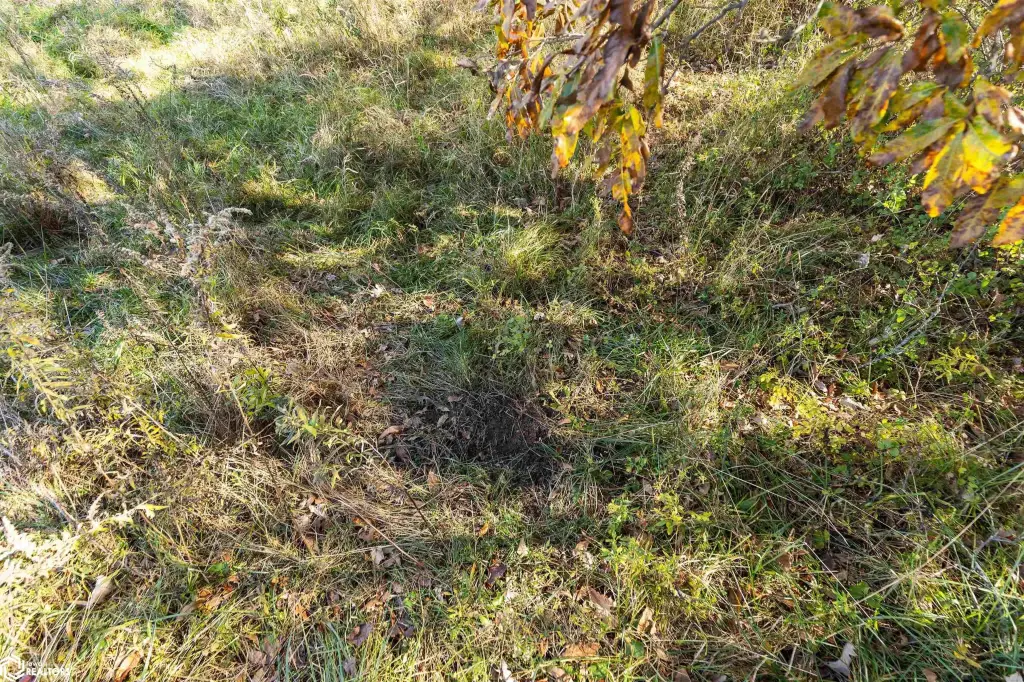 Picture 25