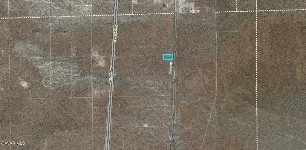 Picture 5
