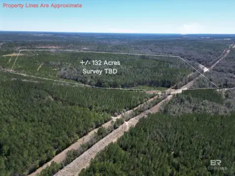 132 Acres of Timbered Land