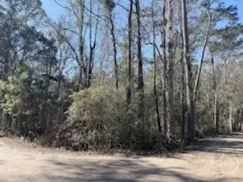 Residential Land in Midway, Georgia