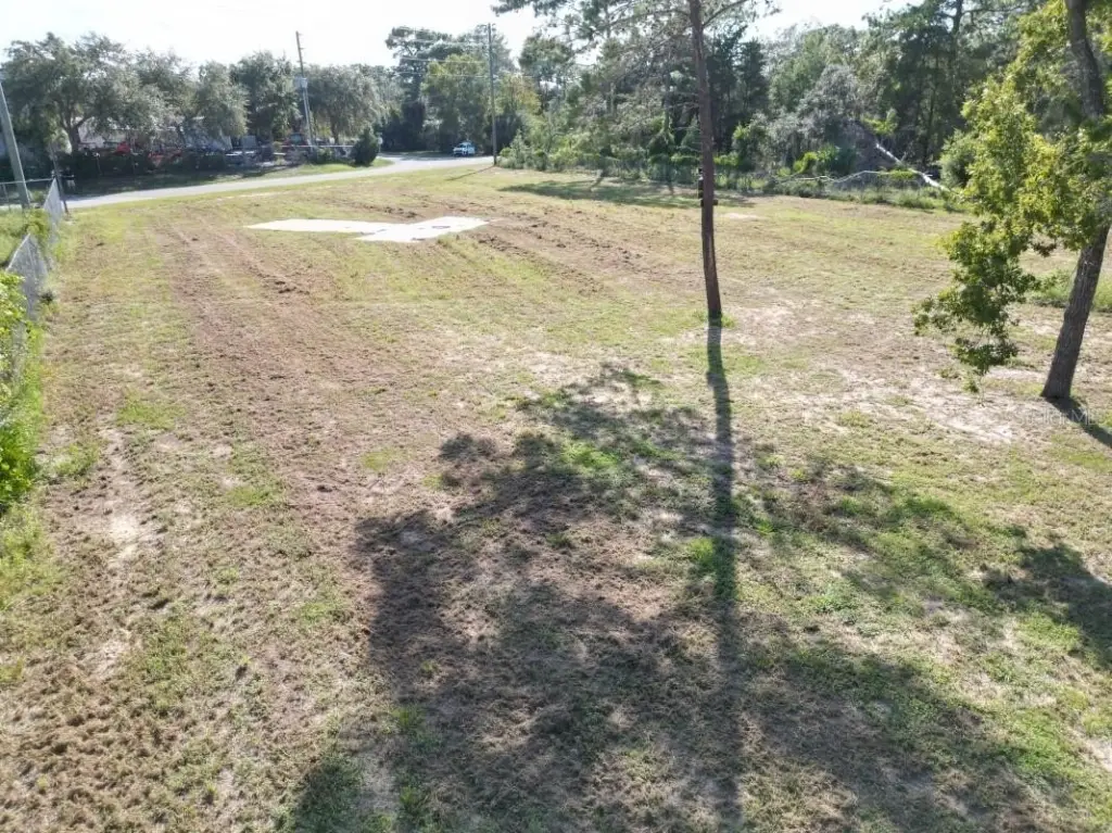 Picture 5