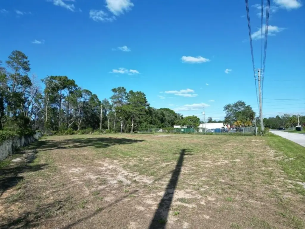 Picture 6
