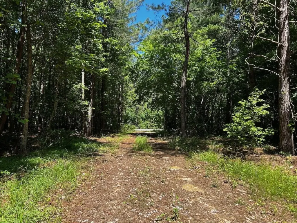 Picture 16