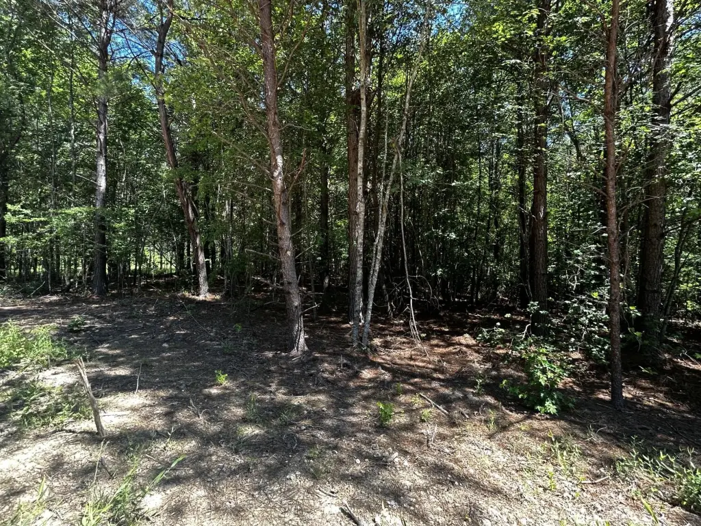 Picture 22