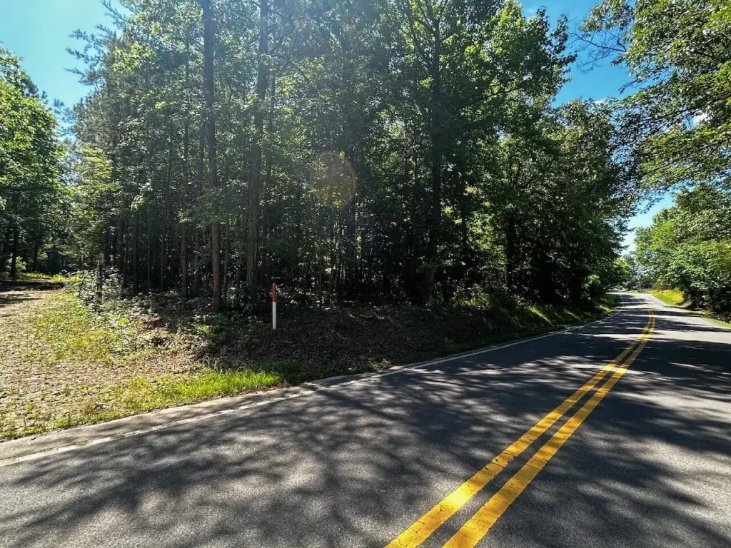 Picture 35