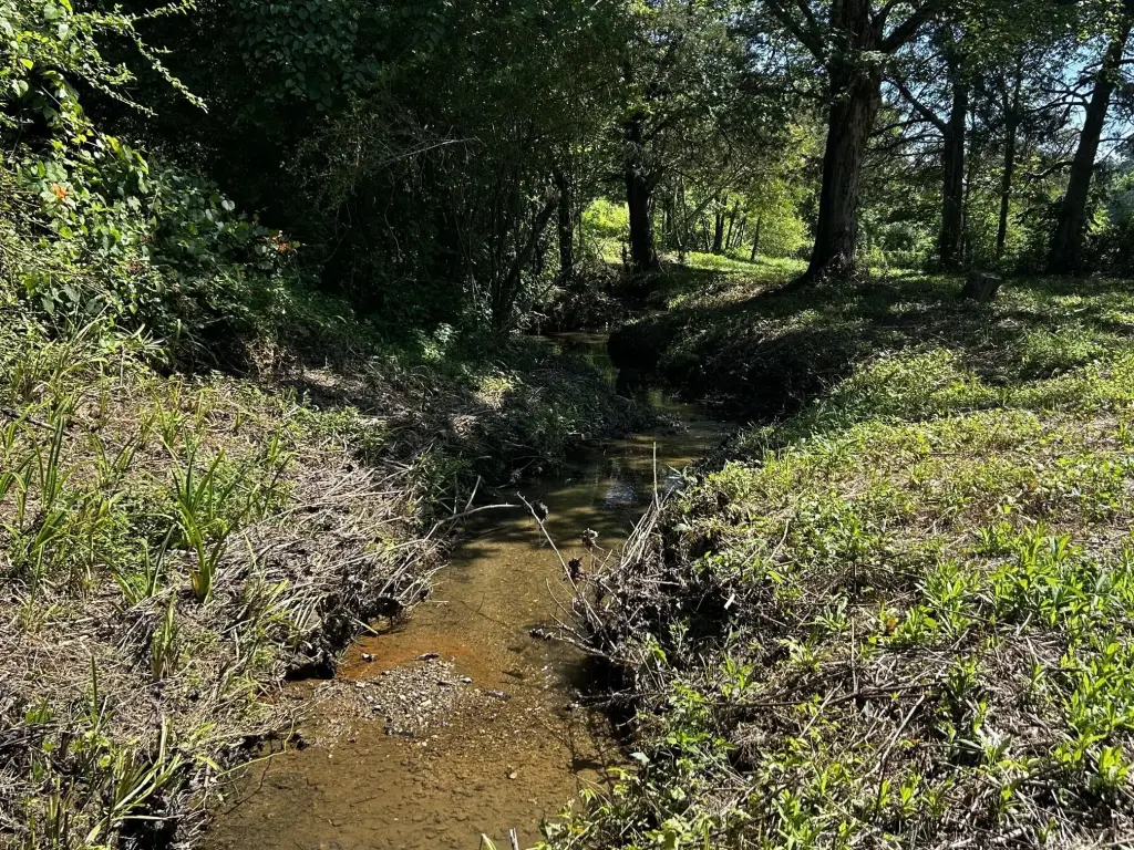 Picture 25