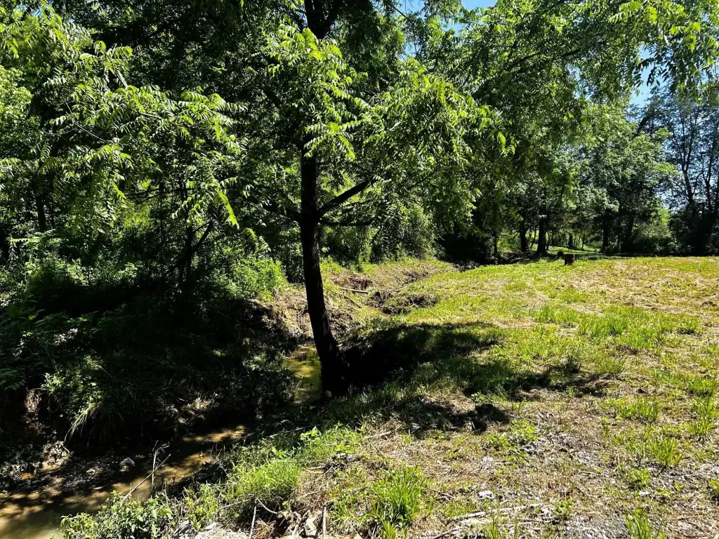 Picture 24