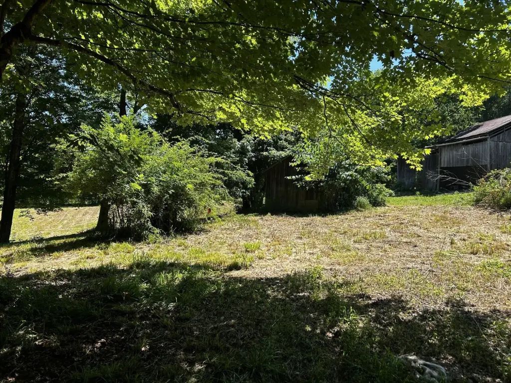 Picture 19