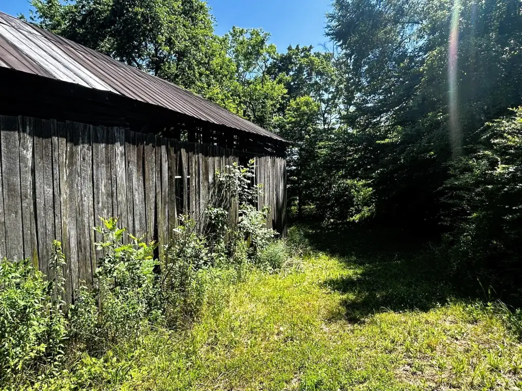Picture 21