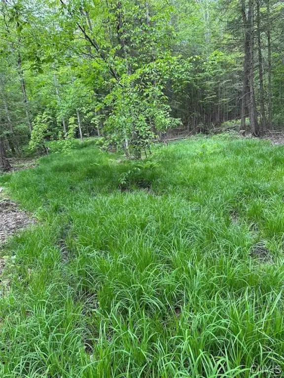 Picture 13