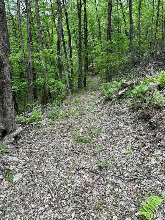 Picture 12