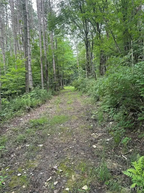 Picture 25