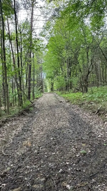 Picture 16