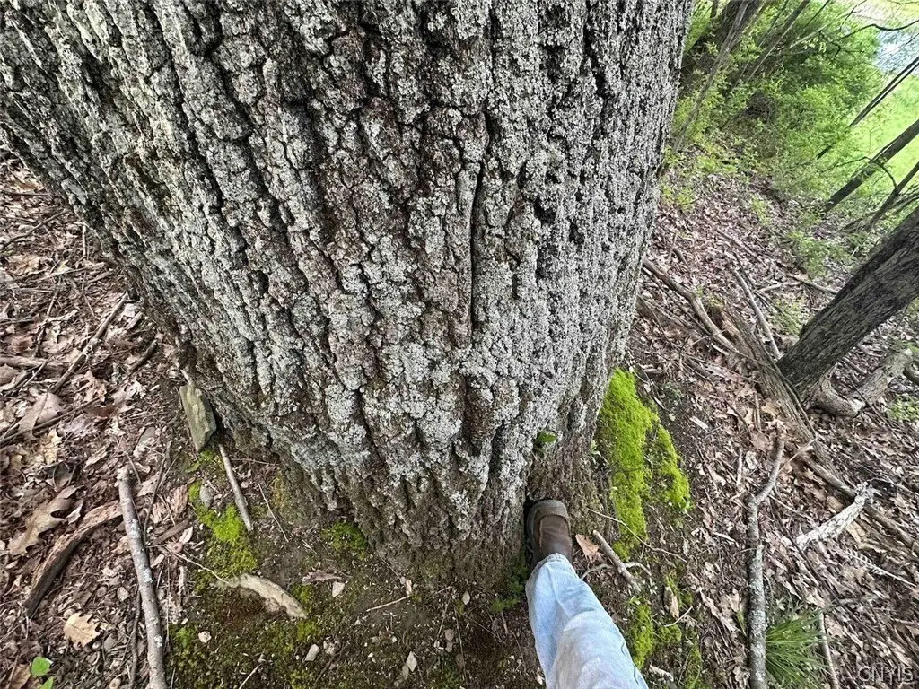 Picture 18