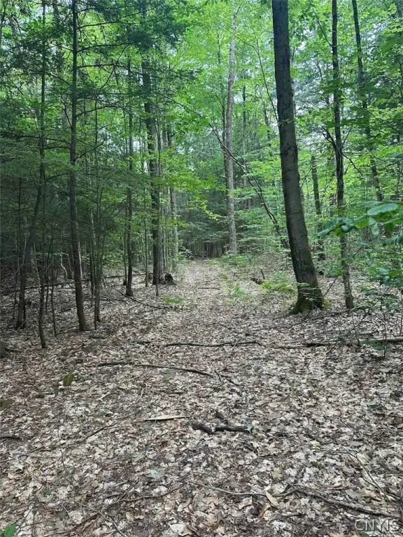 Picture 10