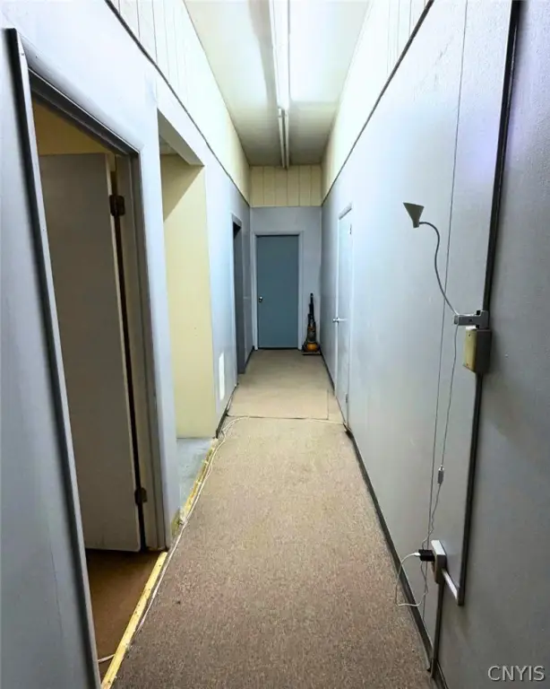 Picture 16