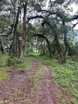 Gainesville Wooded 5-Acre Parcel