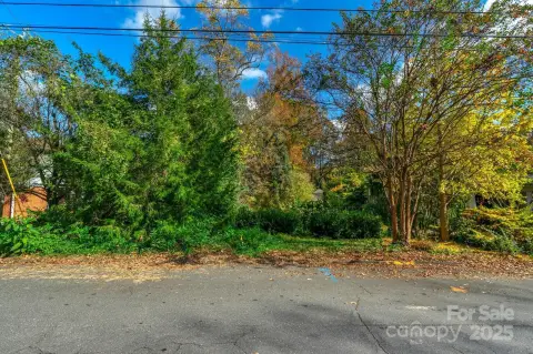 Myers Park Homesite Opportunity