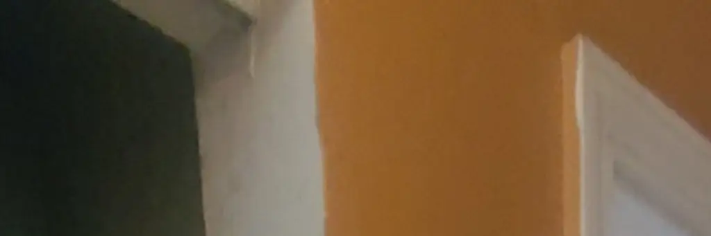 Picture 24