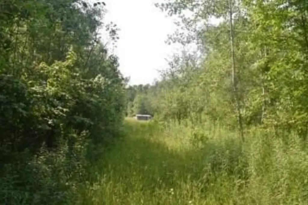 Picture 7