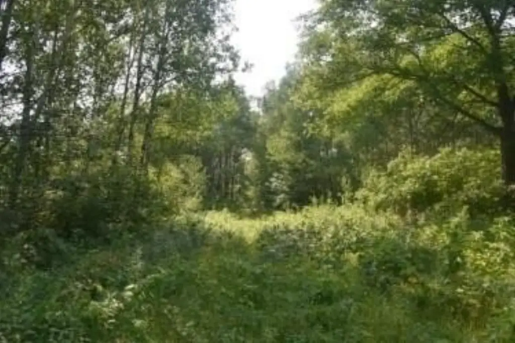 Picture 9
