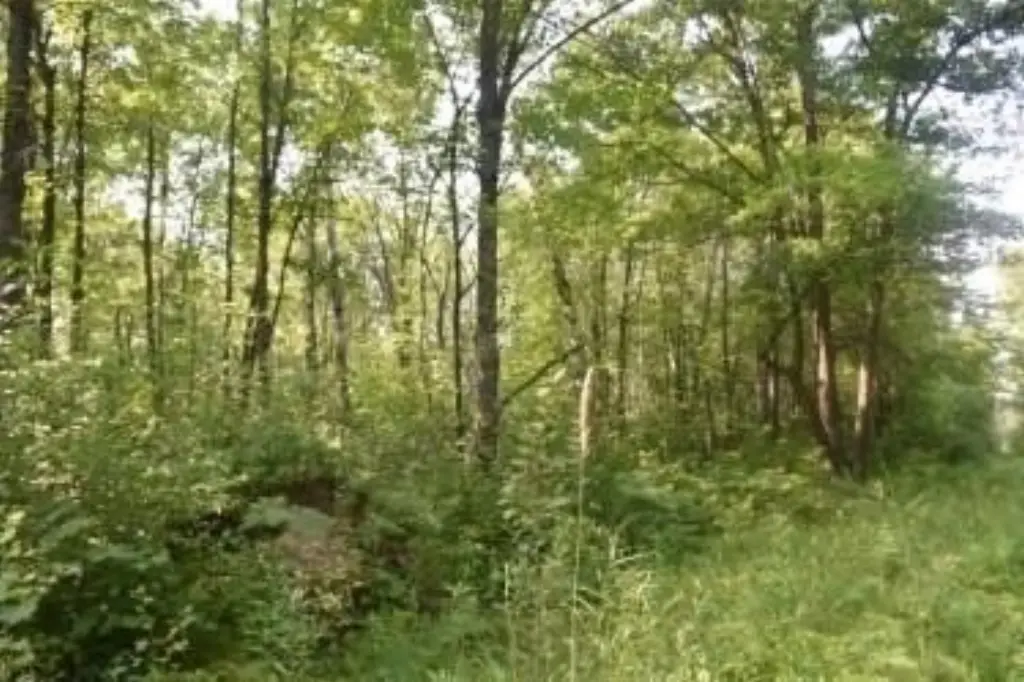 Picture 14