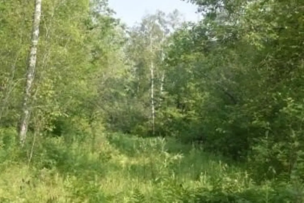 Picture 19