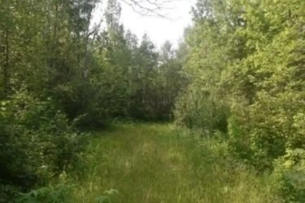 Picture 5