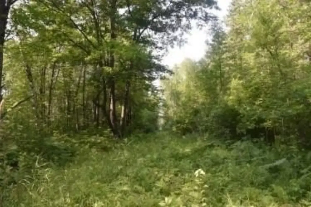 Picture 13