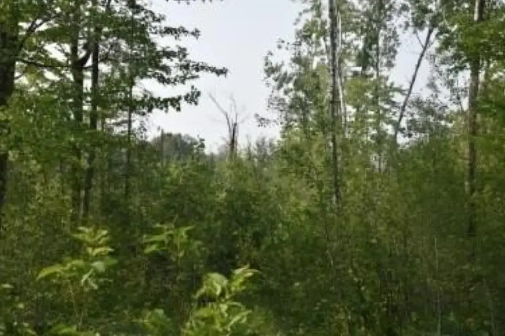 Picture 17
