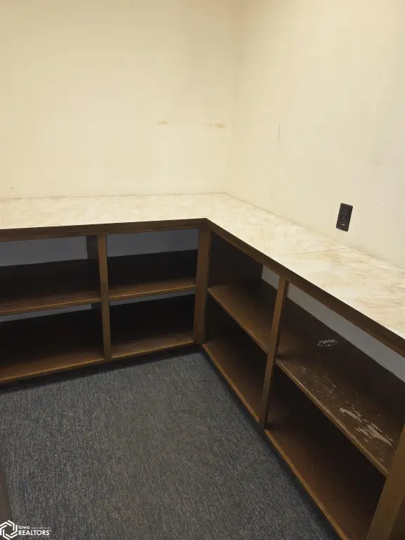 Picture 5