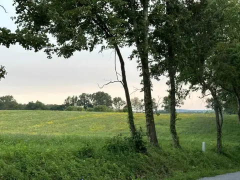 Rockwood, TN Land Parcel