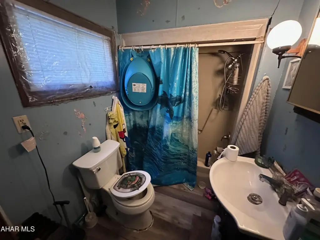 Picture 4