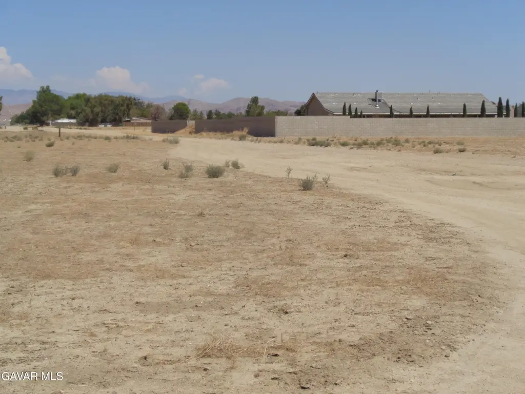 Picture 6
