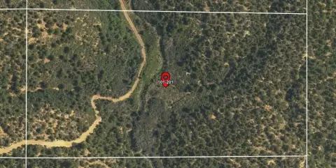 20 Acres in Deer Springs