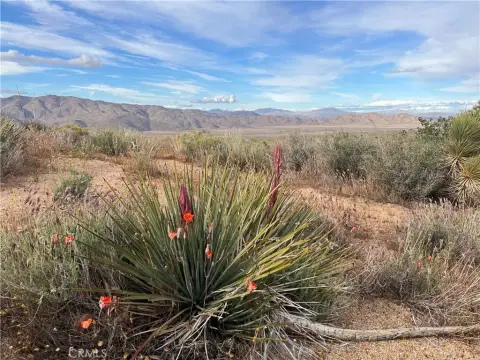 Apple Valley Land with Views