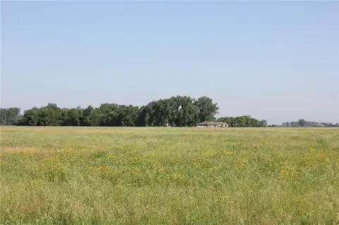 147 Acres Farmland CRP Opportunity