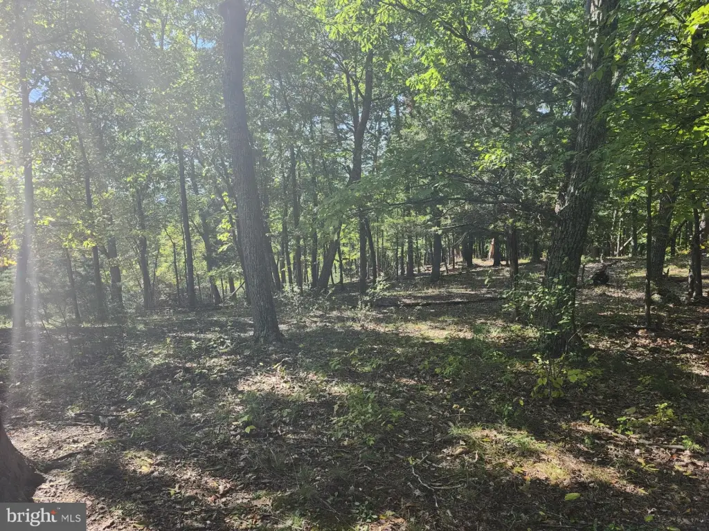 Picture 25